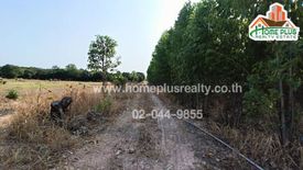 Land for sale in Nong Daeng, Maha Sarakham