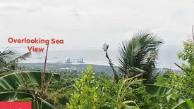Land for sale in Tananas, Cebu