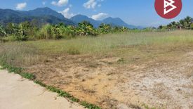 Land for sale in Huai Khrai, Chiang Rai