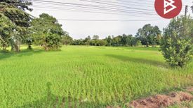 Land for sale in Phayu, Sisaket