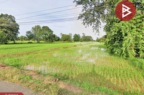 Land for sale in Phayu, Sisaket
