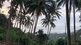 Land for sale in Bo Phut, Surat Thani