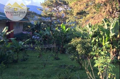 Land for sale in Loacan, Benguet