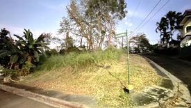 Land for sale in Dolores, Rizal