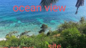 Land for sale in Canangca-An, Cebu