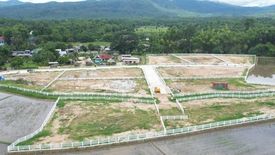 Land for sale in Huai Sai, Chiang Mai