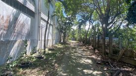 Land for sale in Pale Benedicto Rizal, Iloilo