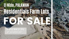 Land for sale in New Ibajay, Palawan