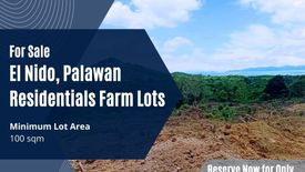 Land for sale in New Ibajay, Palawan