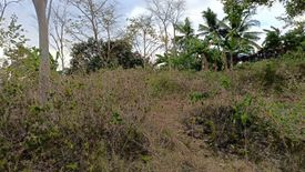 Land for sale in Olango, Cebu