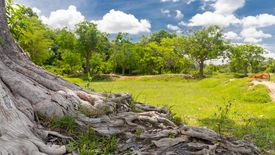 ขายที่ดิน ใน ไร่น้อย, เมืองอุบลราชธานี