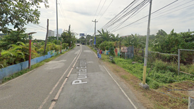 Land for sale in Punta Engaño, Cebu