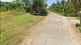 Land for sale in Looc, Bohol