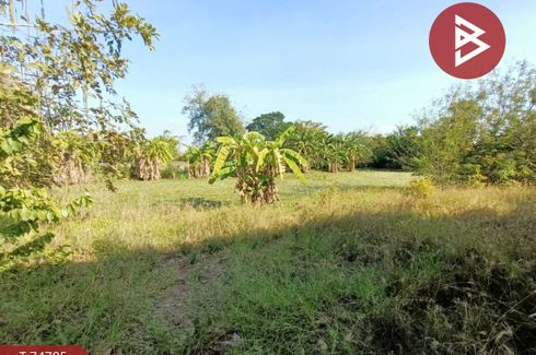 Land for sale in Don Chedi, Suphan Buri