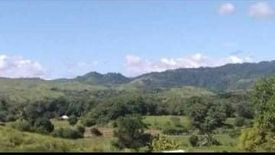 Land for sale in Poblacion East, Nueva Ecija