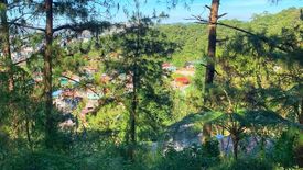 Land for sale in Pacdal, Benguet