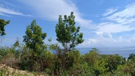 Land for sale in Basak San Nicolas, Cebu