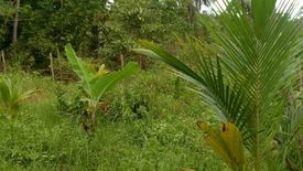 Land for sale in Villahermosa, Cebu