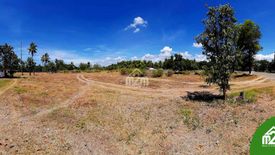 Land for sale in Can-Asujan, Cebu