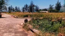 Land for sale in Cawag, Zambales