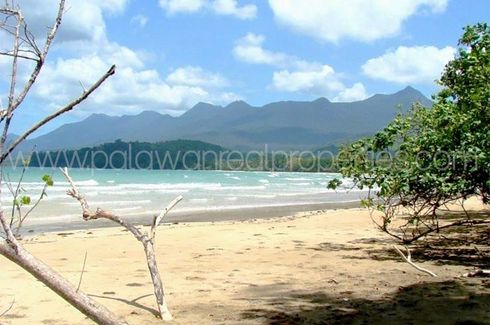 Land for sale in Napsan, Palawan