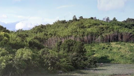 Land for sale in New Ibajay, Palawan