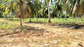 Land for sale in Huai Yai, Chonburi