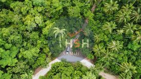 Land for sale in Maret, Surat Thani