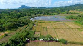 Land for sale in Aberawan, Palawan