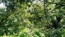 Land for sale in Mantija, Cebu