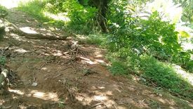 Land for sale in Mantija, Cebu