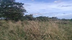 Land for sale in Punta, Laguna