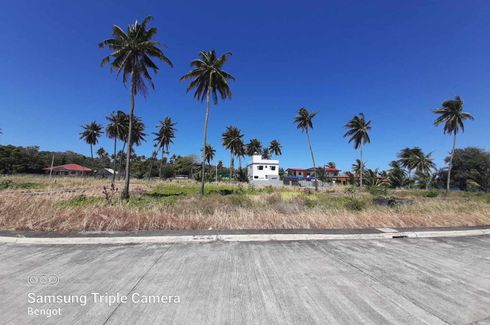 Land for sale in Poblacion, Oriental Mindoro