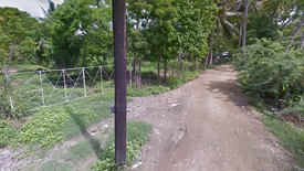 Land for sale in South Poblacion, Cebu