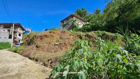 Land for sale in Santo Tomas Proper, Benguet