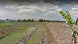 Land for sale in Dolores, Tarlac