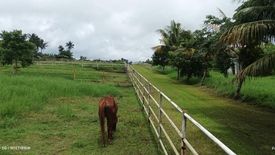 Land for sale in Francisco, Cavite