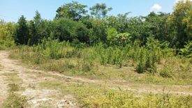 Land for sale in Candaping A, Siquijor