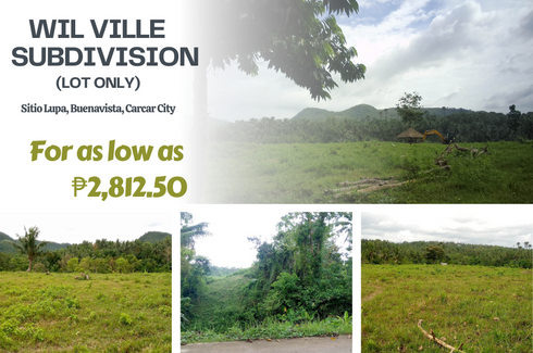 Land for sale in Buenavista, Cebu