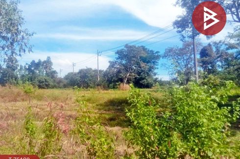 Land for sale in Nong Mak Fai, Sa Kaeo