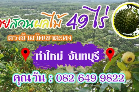 Land for sale in Tha Mai, Chanthaburi