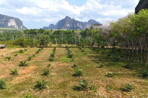 ขายที่ดิน ใน หนองทะเล, เมืองกระบี่