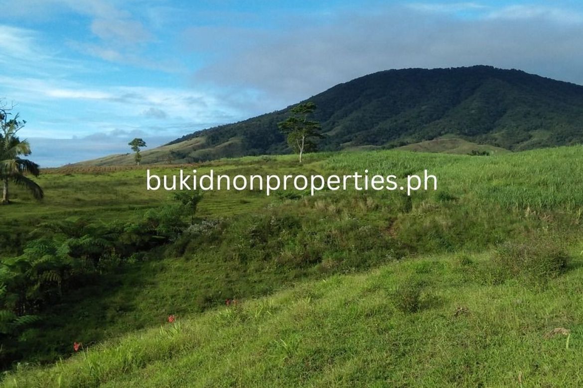 𝟐 𝐇𝐞𝐜𝐭𝐚𝐫𝐞𝐬 𝐅𝐚𝐫𝐦 𝐋𝐨𝐭 𝐰𝐢𝐭𝐡 𝐁𝐞𝐚𝐮𝐭𝐢𝐟𝐮𝐥 𝐯𝐢𝐞𝐰𝐬 📌 Land for sale in Bukidnon
