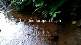 Land for sale in Guinoyuran, Bukidnon