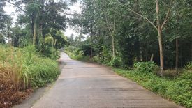 Land for sale in Bo Phut, Surat Thani