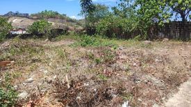 Land for sale in Poblacion Occidental, Cebu