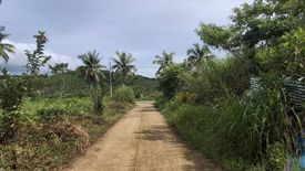 Land for sale in San Miguel, Surigao del Norte