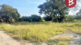 Land for sale in Makhun Wan, Chiang Mai