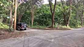 Land for sale in San Isidro, Rizal