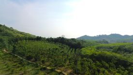 ขายที่ดิน ใน ท่าอยู่, ตะกั่วทุ่ง
